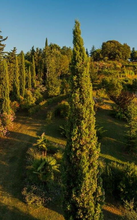 Leccino: Buitenkanten, Buitenshuis, Keer bekeken