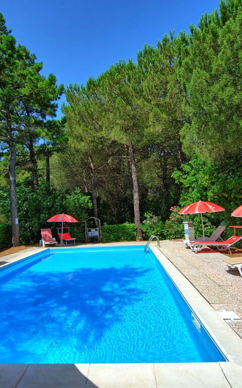 Leccino: Buitenshuis, Tuin, zwembad