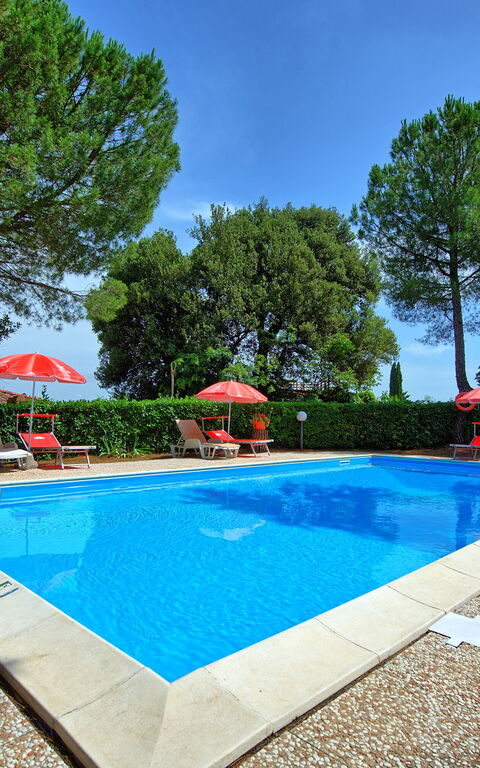 Leccino: Buitenshuis, Tuin, zwembad