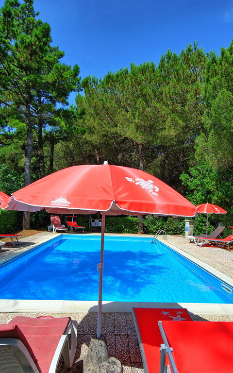 Leccino: Buitenshuis, Tuin, zwembad