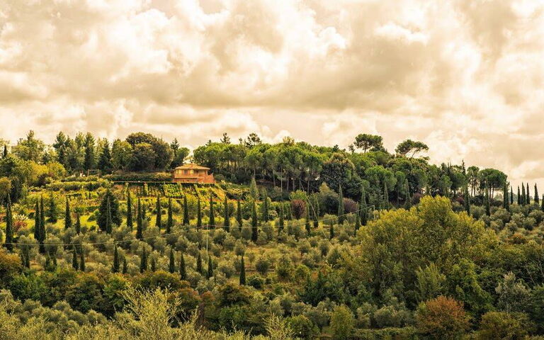 Leccino: Buitenkanten, Buitenshuis, Keer bekeken