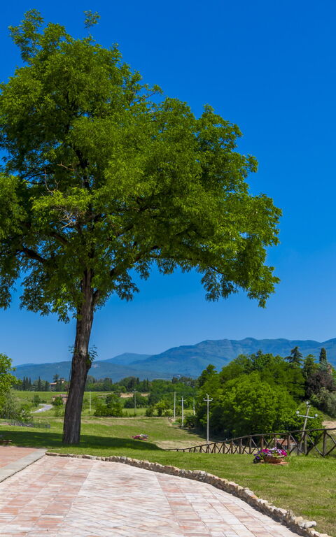 Le Fornaci: Buitenkanten, Buitenshuis, Hoofdingang, Keer bekeken