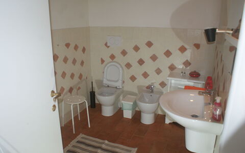 Accommodatie Maghino