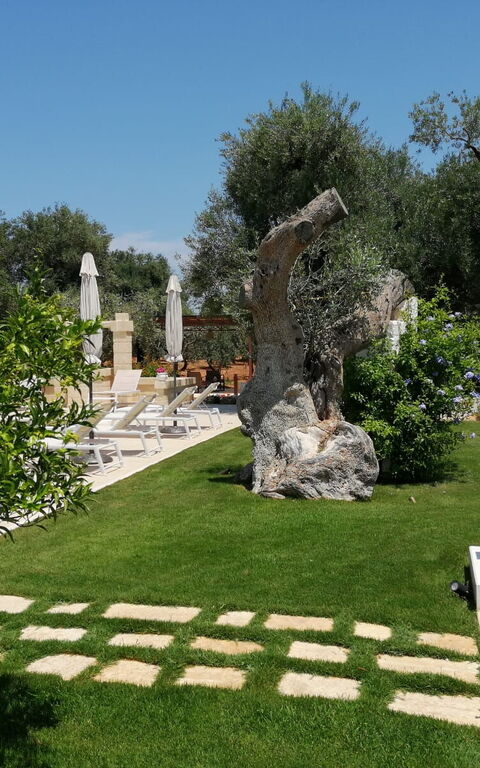 Terra Mater: Buitenkanten, Buitenshuis, Tuin