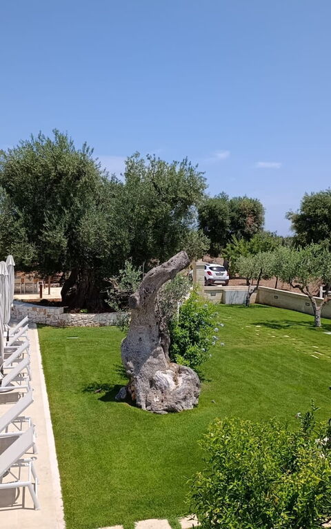 Terra Mater: Buitenkanten, Buitenshuis, Tuin, zwembad