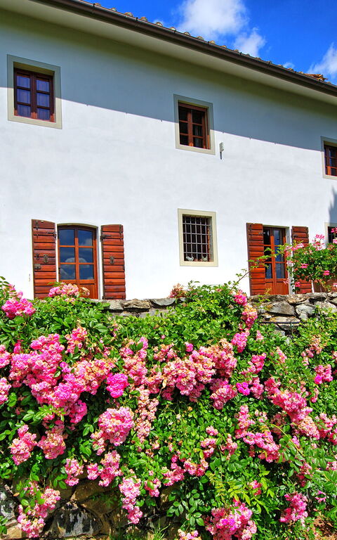 Villa Mami: Buitenkanten, Buitenshuis, Tuin