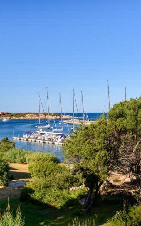 Lentischio: Keer bekeken