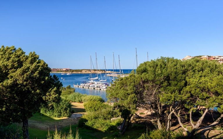 Lentischio: Keer bekeken