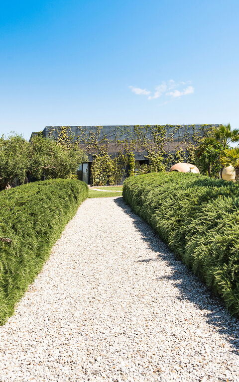 Villa Agnese: Hoofdingang