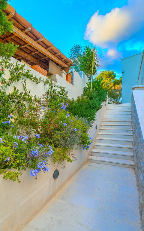 Villa Pine Haven: Buitenkanten, Buitenshuis