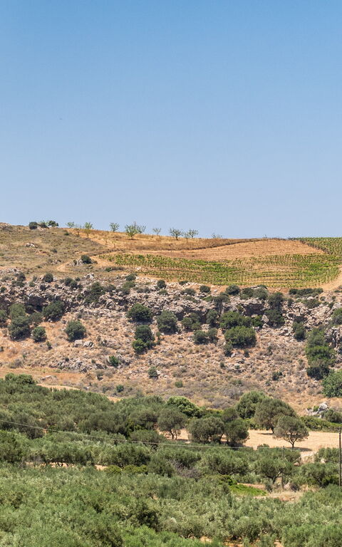 Villa Aetheria: Keer bekeken