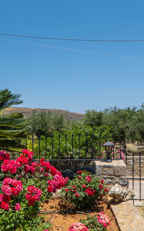 Villa Aetheria: Buitenkanten, Buitenshuis