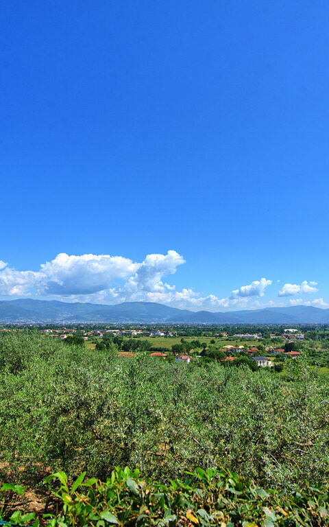 Villa Marusca: Buitenkanten, Buitenshuis