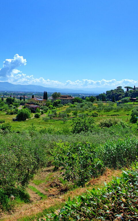 Villa Marusca: Buitenkanten, Buitenshuis, Keer bekeken