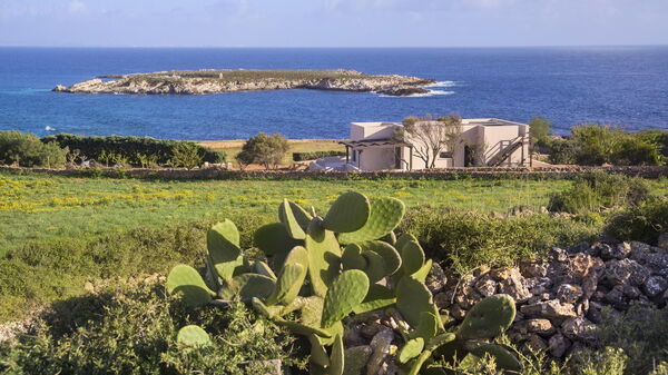 Tenuta Stornello: Buitenkanten, Buitenshuis, Keer bekeken, Tuin