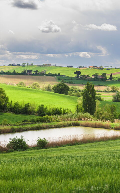 Villa la Contea: Buitenkanten, Buitenshuis, Keer bekeken, Tuin