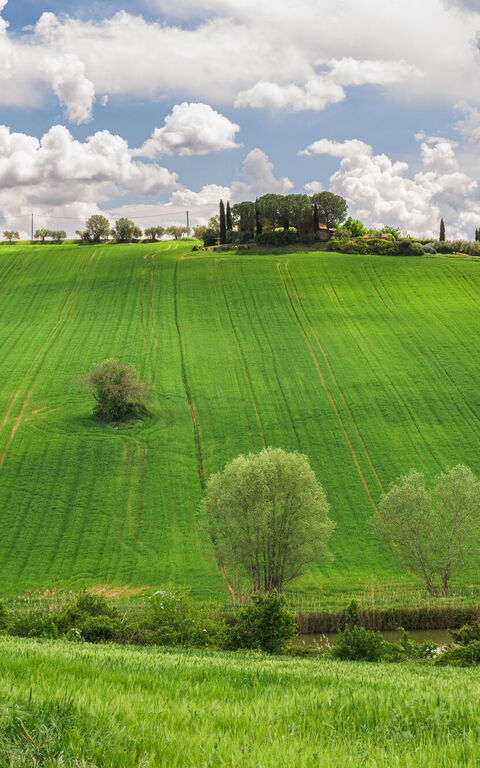 Villa la Contea: Keer bekeken