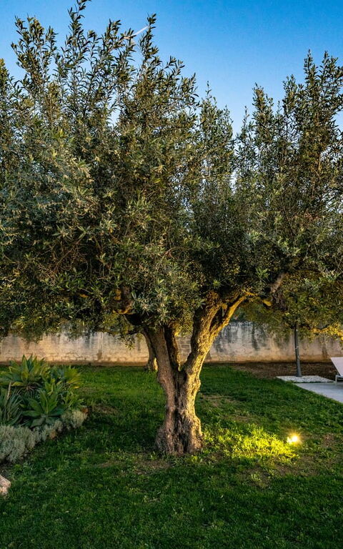 Villa Virginia: Buitenkanten, Buitenshuis, Tuin