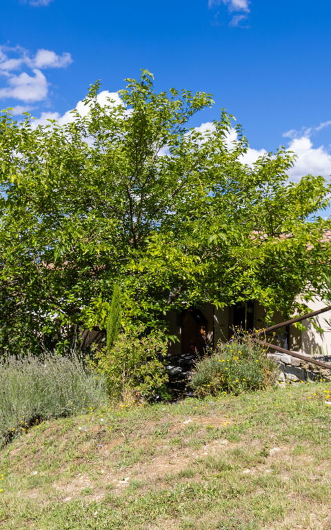 Villanova Lonciano - 2026: Buitenkanten, Buitenshuis, Tuin