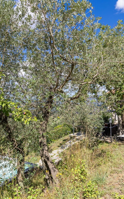 Villanova Lonciano - 2026: Buitenkanten, Buitenshuis, Tuin