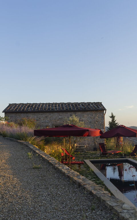 Villa Tenuta Casenuove: Buitenkanten, Buitenshuis, Keer bekeken, Tuin, zwembad