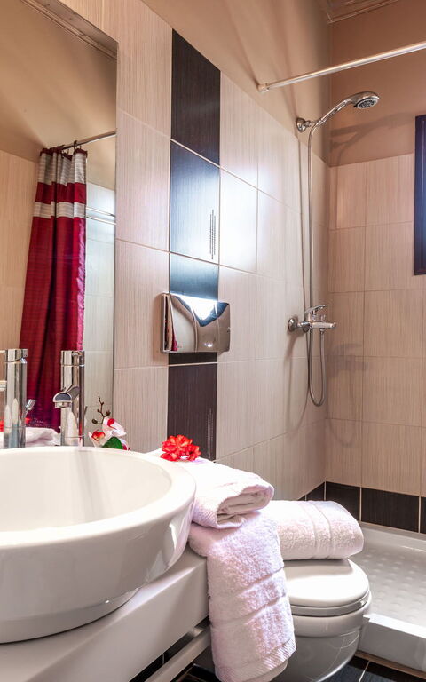 Villa Irida: Badkamer