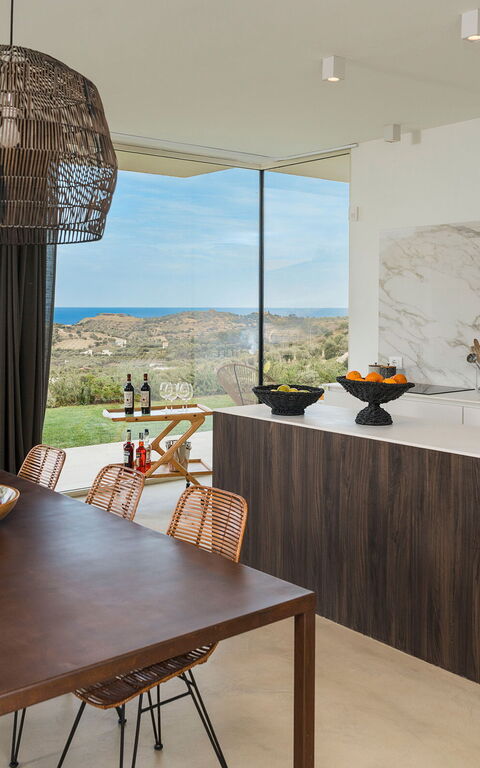 Villa Petite Afrique: Keuken, Lunchroom