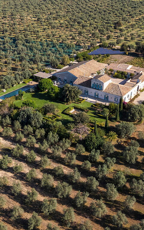 Domus Olivae: Keer bekeken