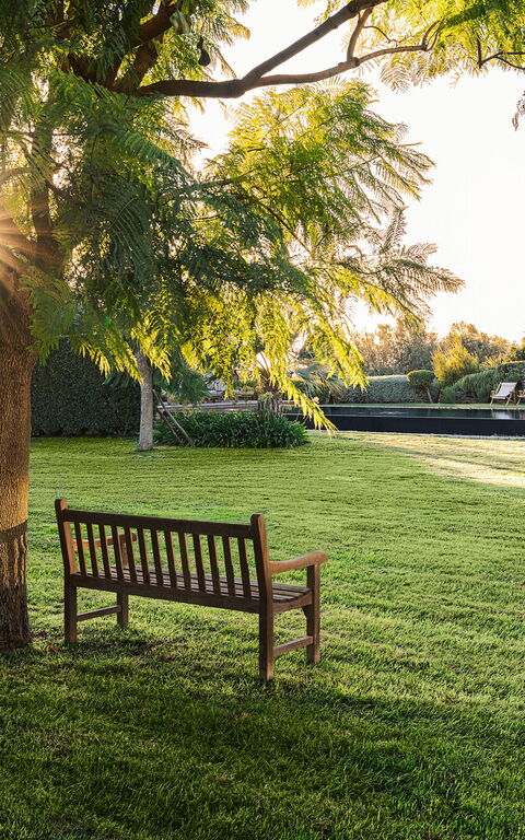 Domus Olivae: Buitenkanten, Buitenshuis, Tuin