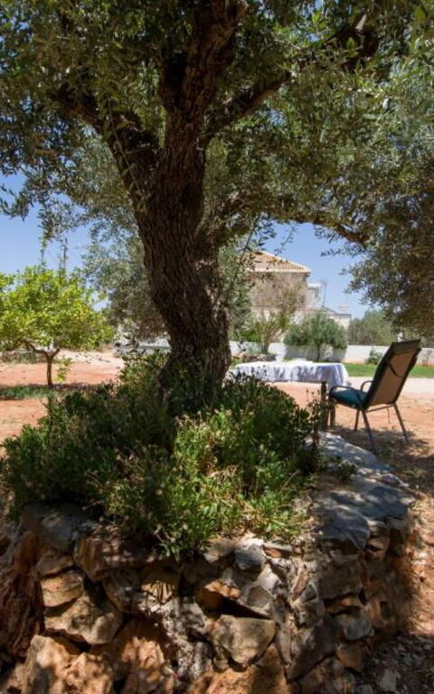 Magnolia: Buitenkanten, Buitenshuis, Tuin