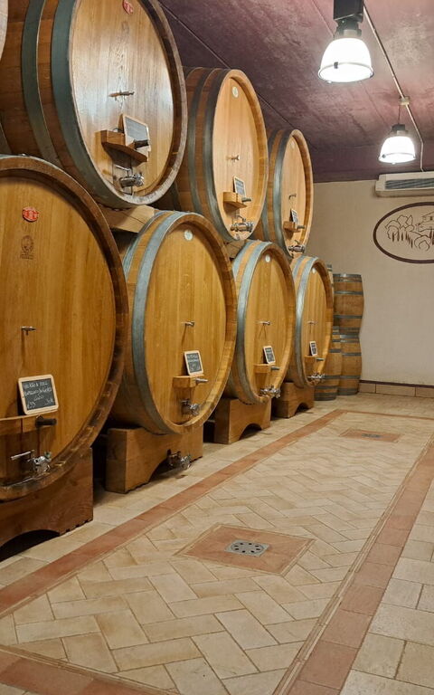 Podere Peteglia: Activiteiten