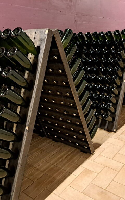 Podere Peteglia: Activiteiten