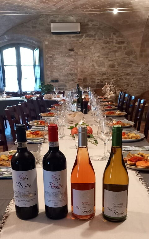 Podere Peteglia: Activiteiten