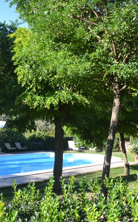 Podere Peteglia: Buitenkanten, Buitenshuis, Tuin, zwembad