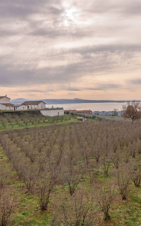 Tenuta Poggio Guiano: Keer bekeken