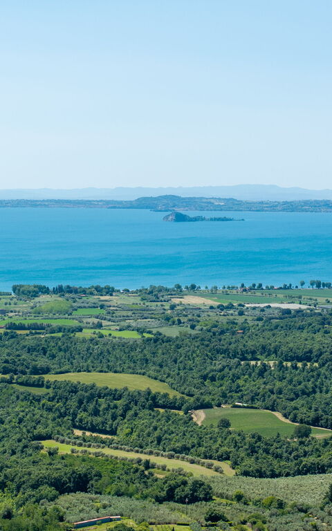 Tenuta Poggio Guiano: Keer bekeken