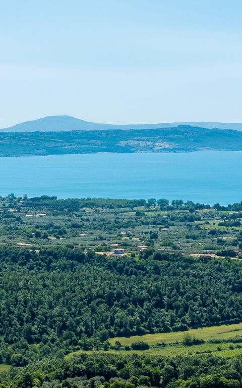 Tenuta Poggio Guiano: Keer bekeken