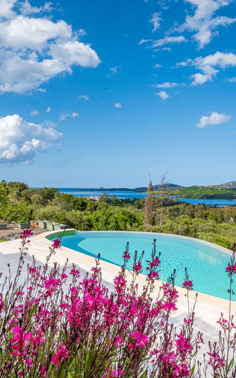 Villa Zephyros: Buitenkanten, Buitenshuis, Keer bekeken, zwembad