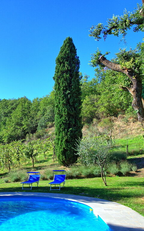 Villa Ulivacci: zwembad