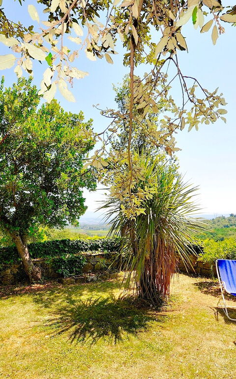 Villa Ulivacci: Tuin