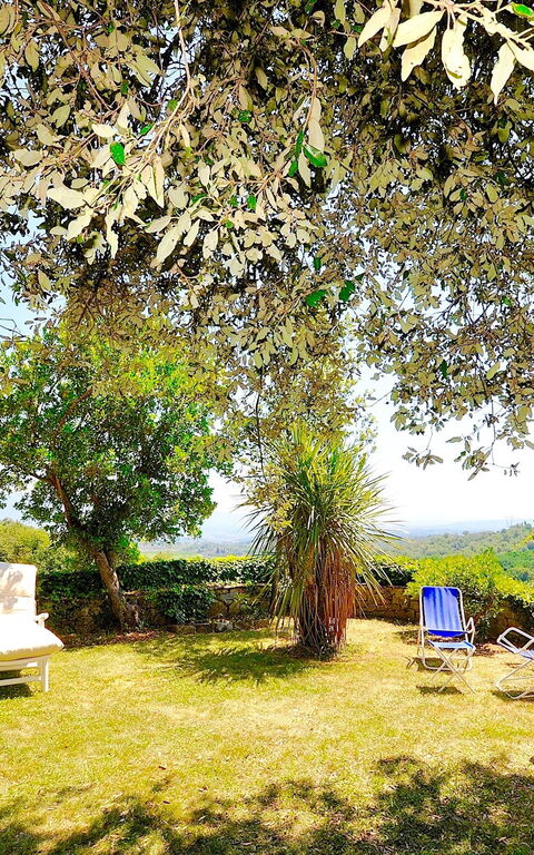 Villa Ulivacci: Tuin