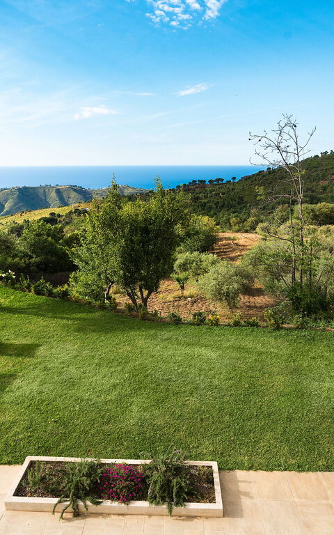 Casita: Buitenkanten, Buitenshuis, Tuin
