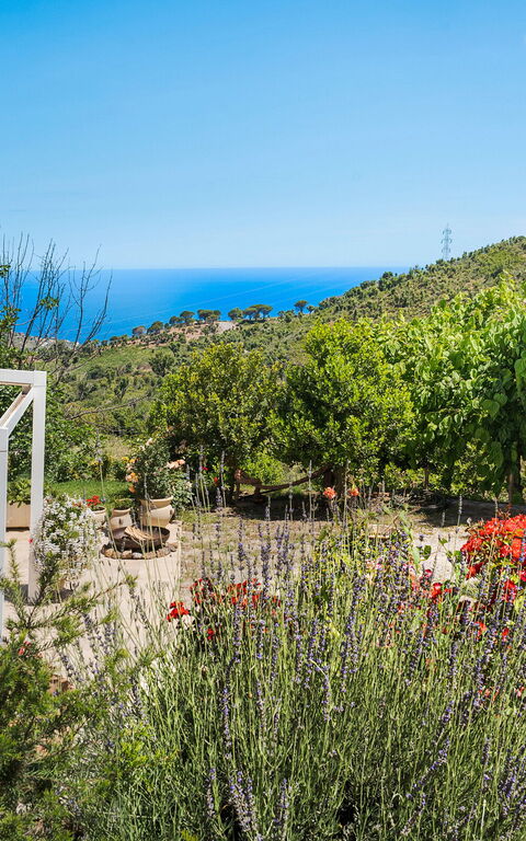 Casita: Balkon / terras / patio, Buitenkanten, Buitenshuis