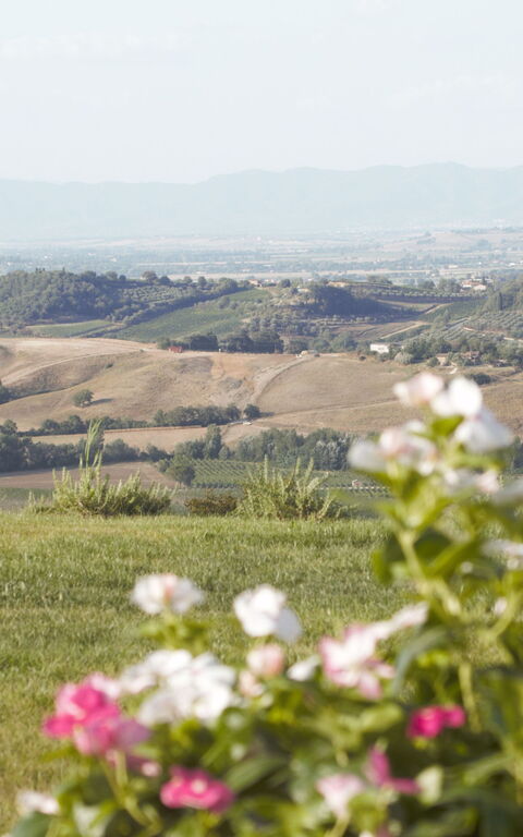 Villa Icario: Buitenkanten, Buitenshuis, Keer bekeken, Tuin