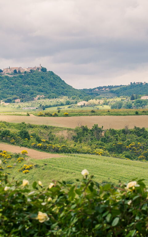 Villa Icario: Keer bekeken