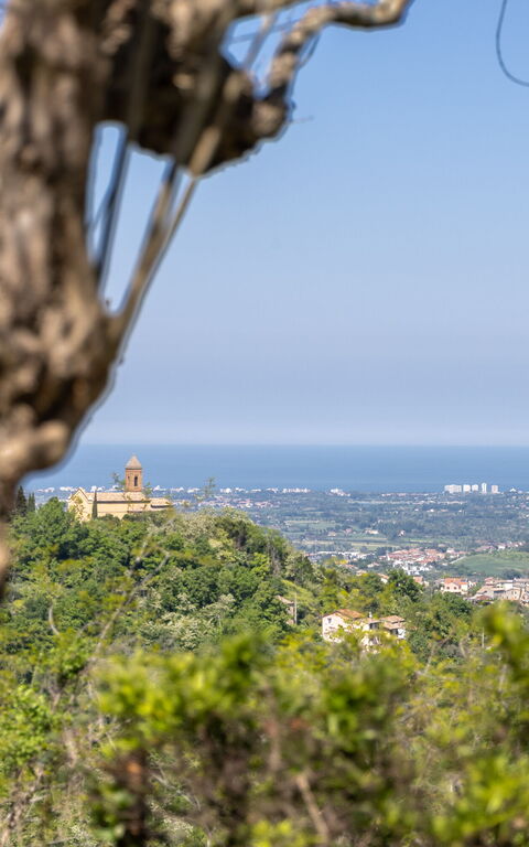 Villa Belvedere San Bartolo: Keer bekeken