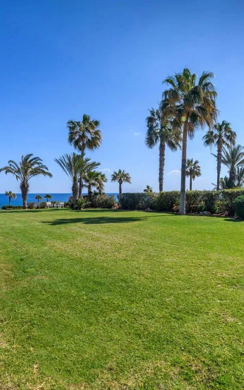 Royal Beachfront Villa: Buitenkanten, Buitenshuis, Keer bekeken, Tuin
