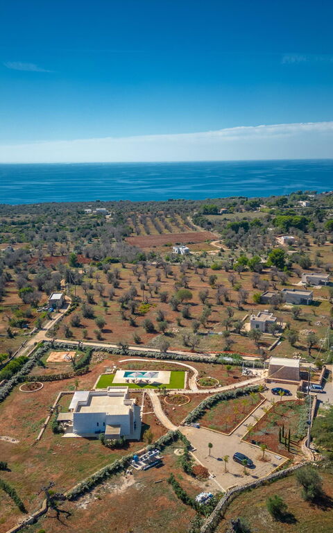 Villa del Cedro: Keer bekeken