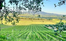 Foto ingestuurd door een gast van Villa Chiugi