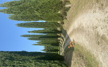 Foto ingestuurd door een gast van Villa Gualchiere